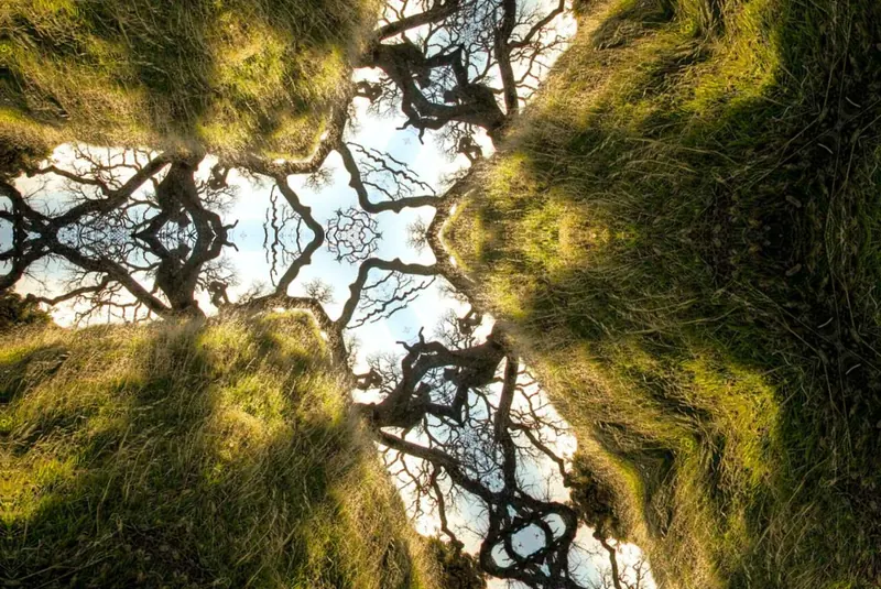 Sample photo with the Kaleidoscope distortion applied